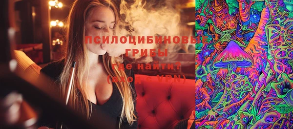 Альфа ПВП Горняк