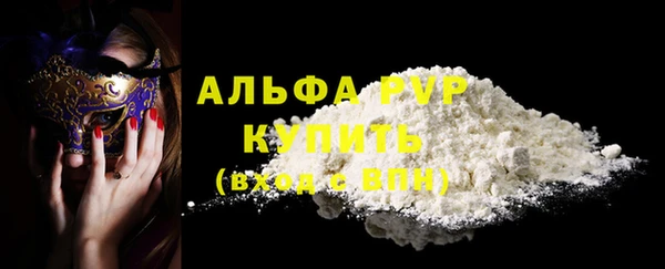 Альфа ПВП Горняк