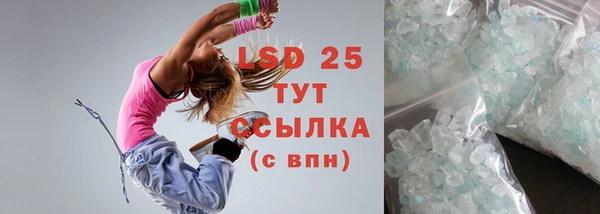 Альфа ПВП Горняк