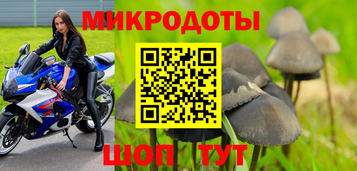 Псилоцибиновые грибы Cubensis Мценск
